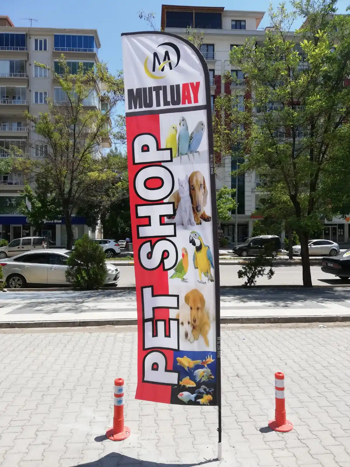 Petshop Yelken Bayrağı-1